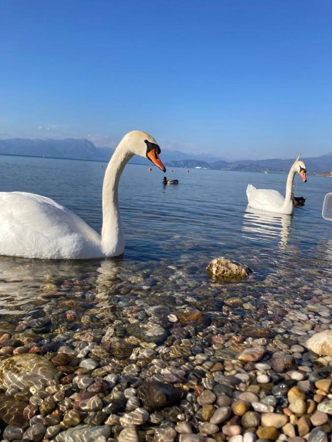 Garda Art&Lake Peschiera del Garda Dış mekan fotoğraf